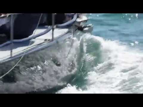 41ª Ilhabela Sailing Week - Regatas/Highlights