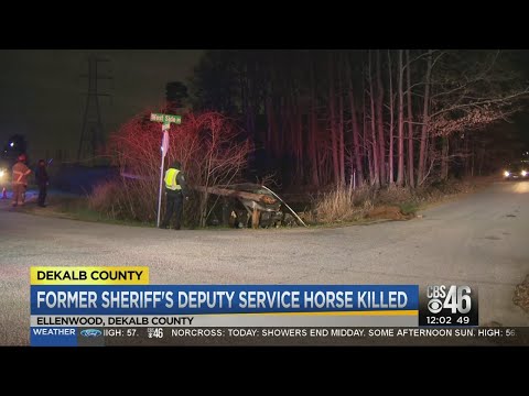 Former Sheriff's Deputy service horse killed in accident