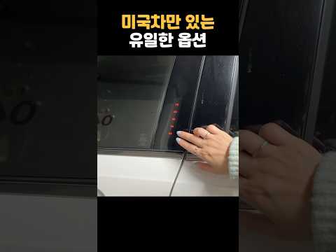 호불호 갈리는 자동차 옵션