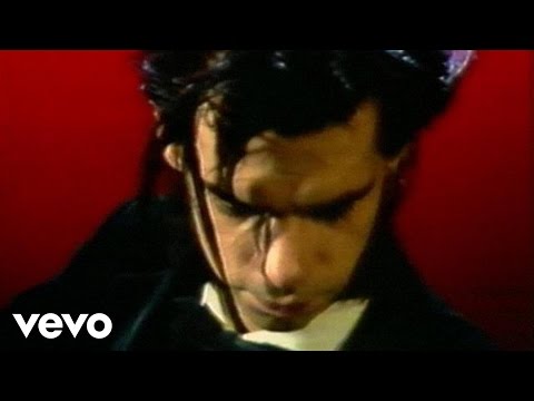 Nick Cave & The Bad Seeds - The Singer