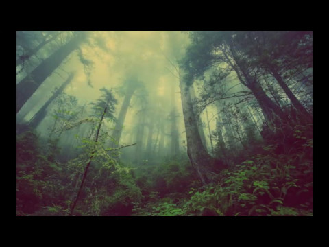 ~☯~Dark Goa Trance/PsyTrance Mix~ 🐍~