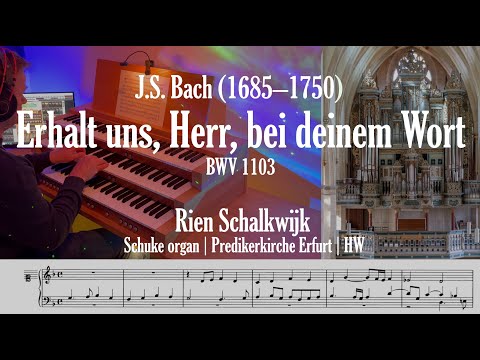 Rien Schalkwijk