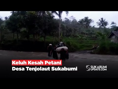 Keluh Kesah Petani Desa Tenjolaut Sukabumi