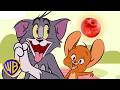 Can Tom Jerry Find The PERFECT Apple Learning With Tom Jerry Wbkids
