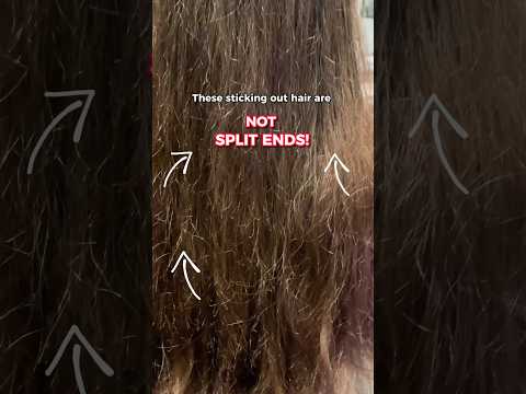 Split ends will most often be found towards the ends of your hair. #hair #splitends