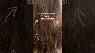 Download lagu Split ends will most often be found towards the ends of your hair. #hair #splitends mp3