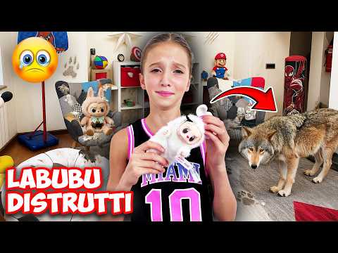 FIGLICHIARA SCOPRE CHE I LUPI SONO ENTRATI DI NASCOSTO IN CASA E HANNO DISTRUTTO LE LABUBU !