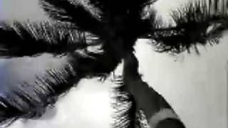 RKL - Hawaii Invasion