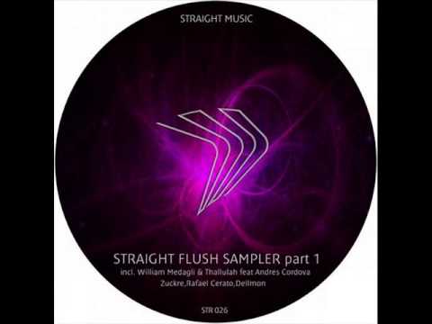 Dellmon - Ain't talkin - Straight Music