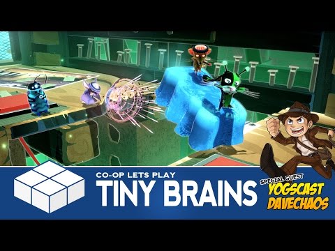 tiny brains pc review