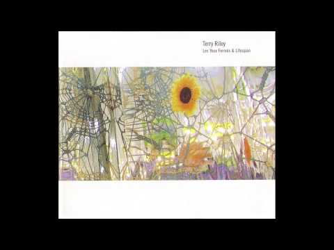 In the Summer - Terry Riley