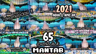 Download lagu MANTAP !!! 65 SUARA PERKUTUT BANGKOK RING AQUA & HMC BIRD FARM mp3
