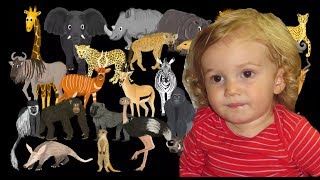 The Kids Picture Show African Animals Oskar Video Response