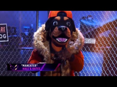 Rottweiler "Chris Daughtry" - Maneater (Masked Singer S2E1)