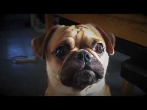 JohnJohn clip collection