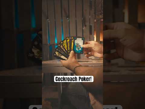 Let’s play some cockroach poker!