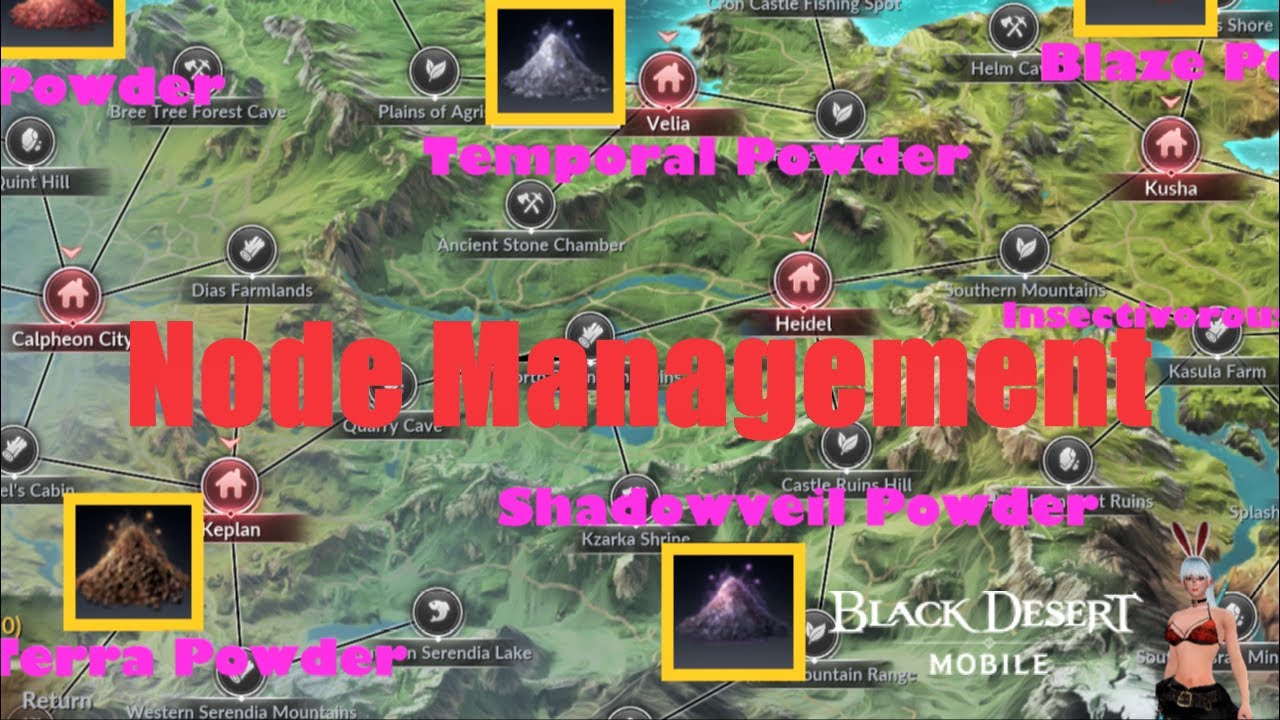 Black Desert Mobile - Node Management Tips