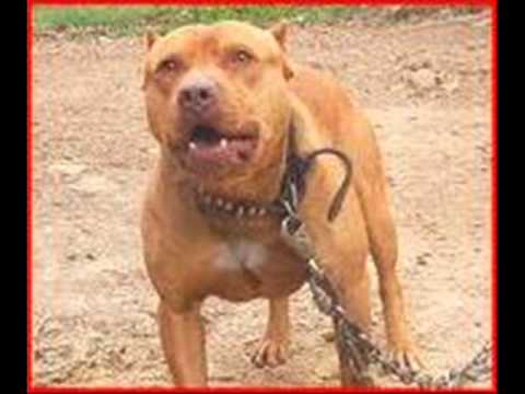 b6 and b10 productionz