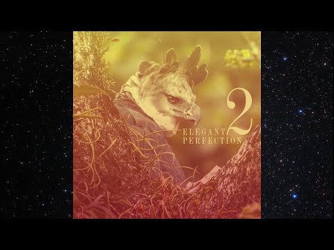 Lit Kody - Elegant Perfection 2