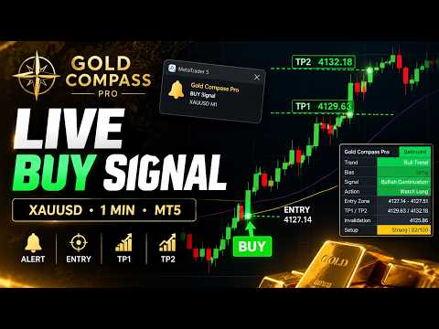 Video Gold Compass Pro