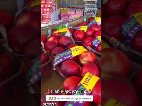 קניון אמין כיוף מבצע אש על הפירות