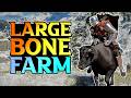 BEST Large Bone Farm - Crimson Desert Tips & Tricks