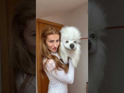 FINJO SER UN PERRO PARA VER LA REACCIÓN DE MI NOVIO #diversionsinlimites #humor #parejas #comedia