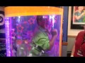 Pop Pop Chuck E Cheese Aug 12