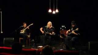 Two Miles of Earth - Whiskey in the Jar (Live @ Kulturhuset 30 april 2013)