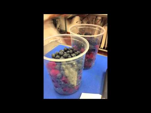 6Milosevich-Sarina-HU130-D