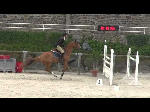 Sultane des Ibis (webstallions.com)