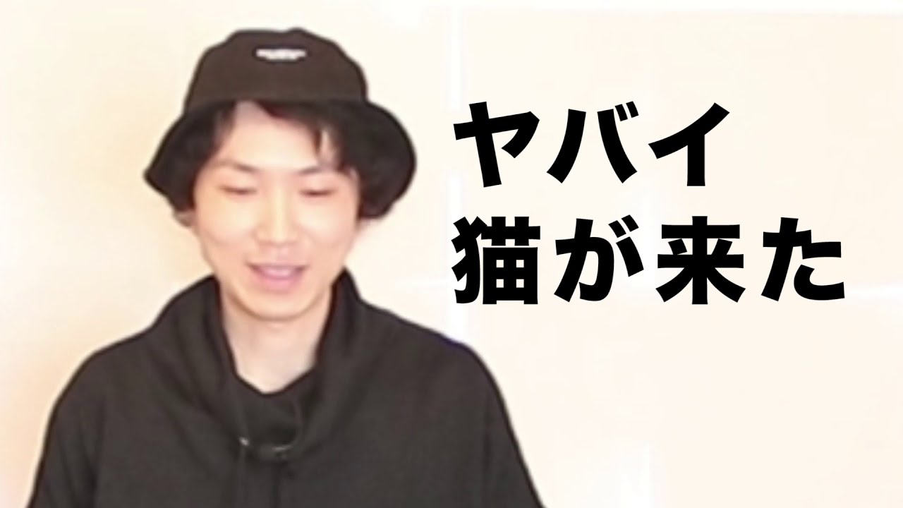 【NG】猫との攻防