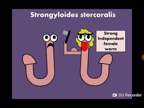 , title : 'Strongyloides stercoralis داء الأسطوانيات'