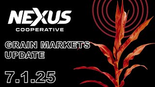 Nexus Grain Update - July 1, 2025
