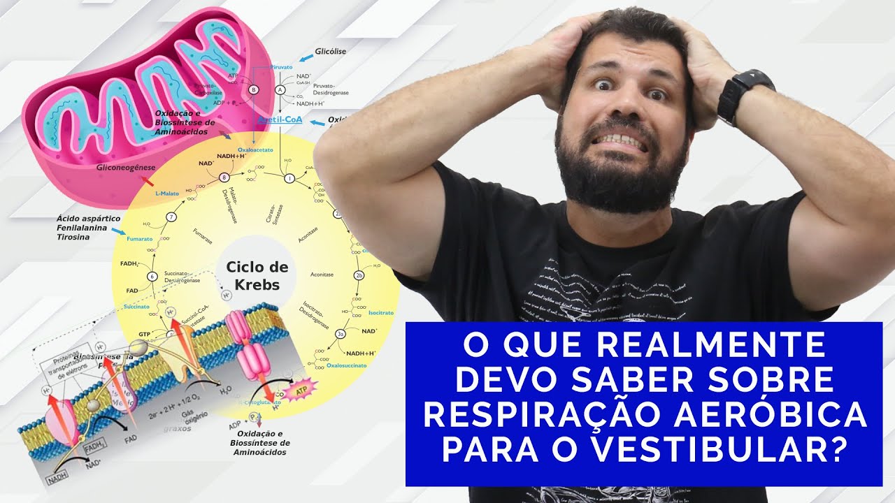MÓDULO: BIOQUÍMICA - RESPIRAÇÃO AERÓBICA - RESUMO DO CONTEÚDO - INIBIDOR E DESACOPLADOR DE CADEIA