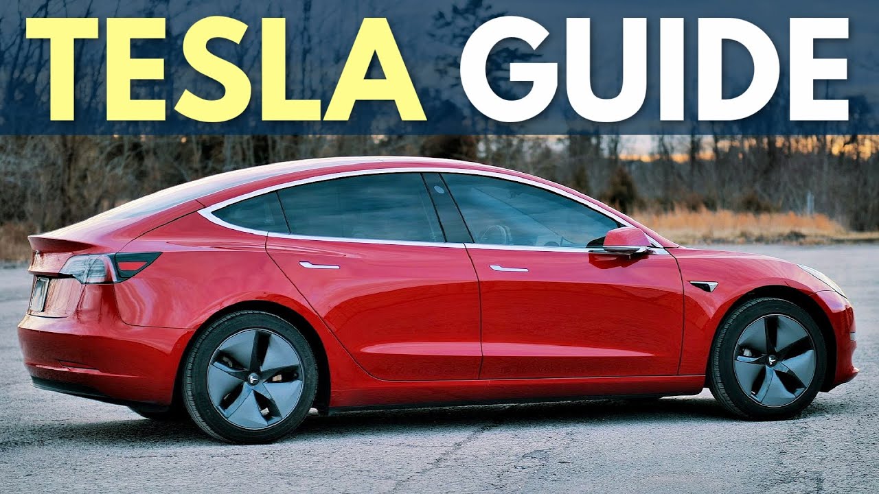 Erster Tesla Must Do / Have - Model Y Allgemeines - TFF Forum - Tesla  Fahrer & Freunde