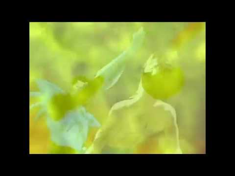 SPACEGHOSTPURRP  - BITCHES CHOOSIN (PROD BY BMB PISSED)