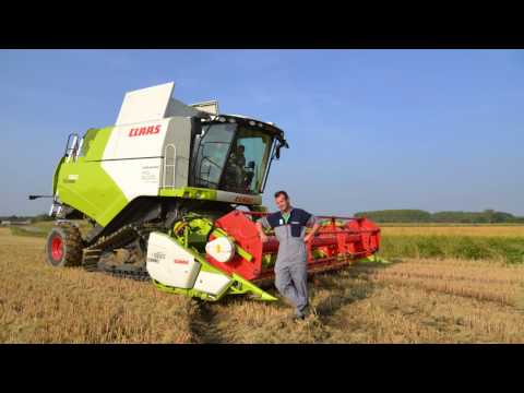 CLAAS In Campo. TUCANO 560. All'azienda Berardi.