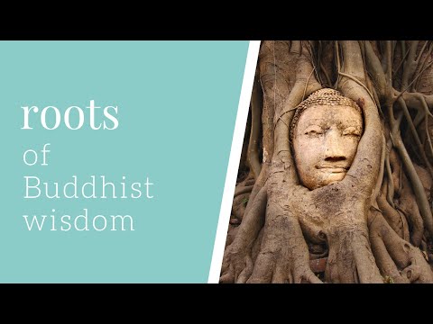 samsara and nirvana, the three characteristics of phenomena: Buddhist basics