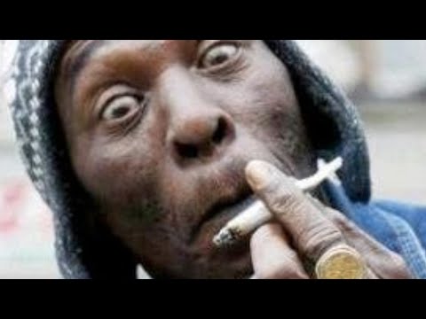 FILM ENTIER 2025 WEED GANG👍🔔👈😉