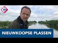 Nieuwkoopse Plassen: een stukje Amazone in de Randstad - OMROEP WEST