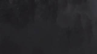 バイオテス卜