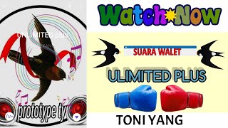 Download lagu Suara Panggil Walet SP. UNLIMITE PLUS 👍 mp3