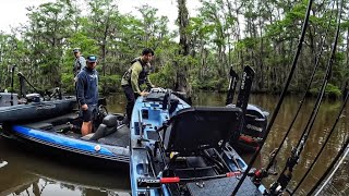 Dropped off in the middle of a swamp (I left California)
