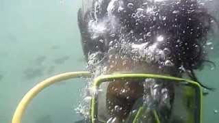 preview picture of video 'Scuba Diving at Tarkarli Malvan - by Ganesh Gadge'