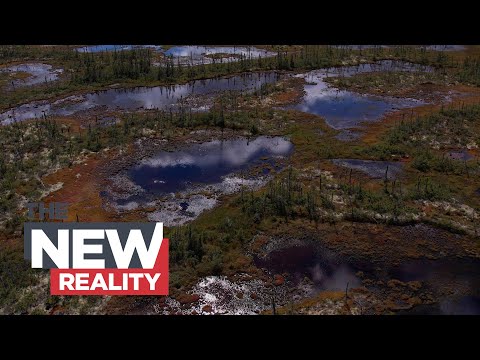 The power of peat: Canada's secret weapon against climate change