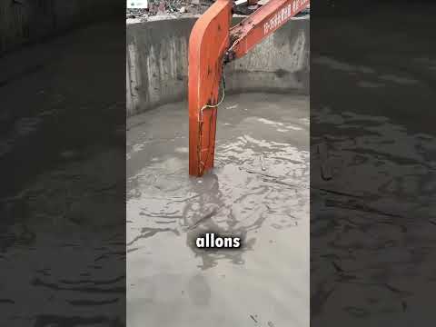 Is there a crocodile inside?