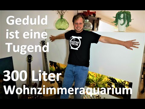 300 Liter Wohnzimmeraquarium - Geduld ist eine Tugend