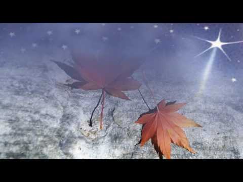 "VISION JUVENIL" Fuente De Agua Viva.