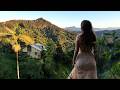 Renovating My Rainforest Shack Alone And Off Grid